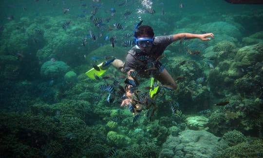 3 Day Snorkeling Tour in Kuta Selatan