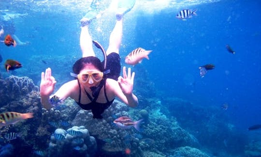 3 Day Snorkeling Tour in Kuta Selatan