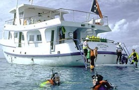 Diving Tours in Papua New Guinea