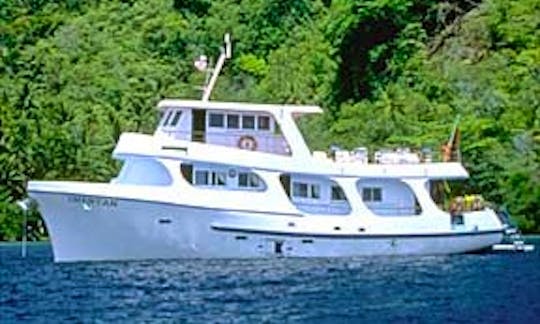Diving Tours in Papua New Guinea