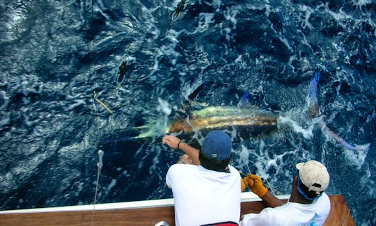 Sports Fishing on Limited Edition in Saint Lucia