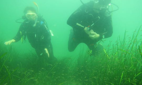 Clases de buceo en Timmendorfer Strand