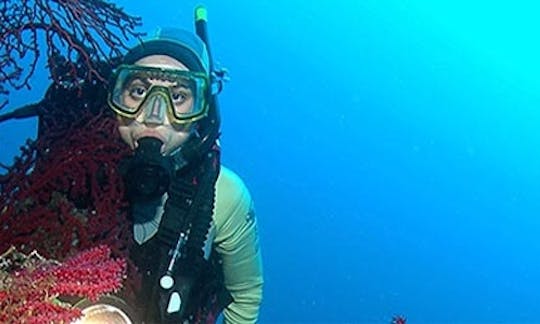 Diving Tour in Praiano Amalfi Coast, Italy