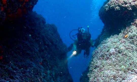 Diving Tour in Praiano Amalfi Coast, Italy