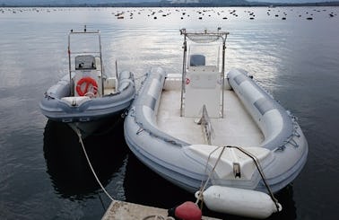 RIB Diving Trips and Courses in San Teodoro