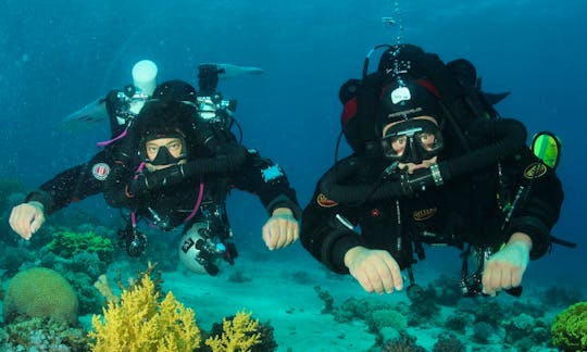 Fun-Filled Diving Courses for Beginners in Eilat, Israel