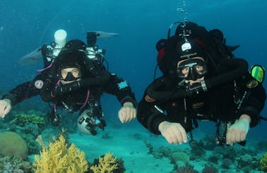 Fun-Filled Diving Courses for Beginners in Eilat, Israel