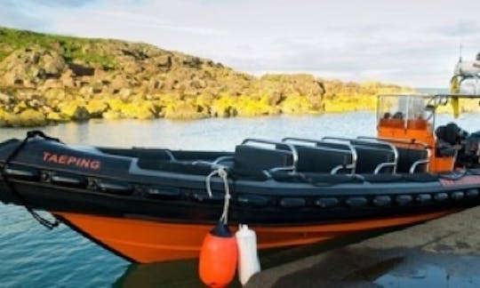 Taeping Tours RIB Charter in Pierhead