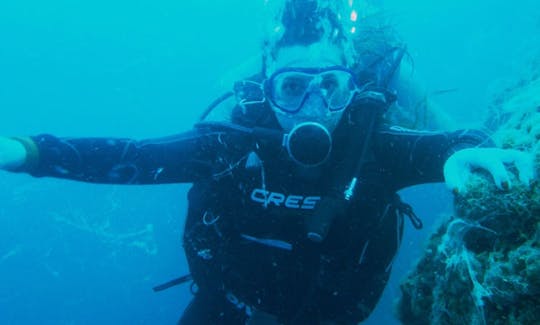 Diving Courses in Fano