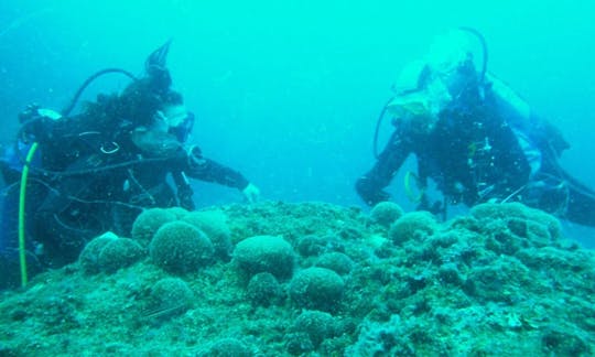 Cursos de buceo en Fano