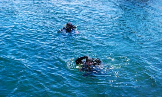Scuba Diving in Gothenburg