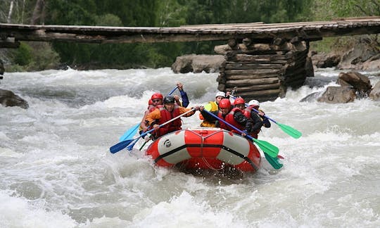 Viagens de rafting em Barnaul