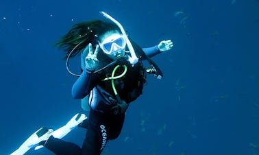 Great Deal on Scuba Diving Courses in Seoul, South Korea