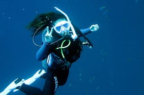 Great Deal on Scuba Diving Courses in Seoul, South Korea