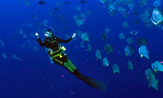Enjoy Diving and Trips in Male, Maldives