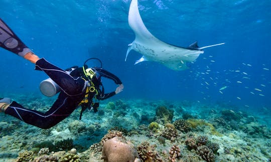 Enjoy Diving and Trips in Male, Maldives
