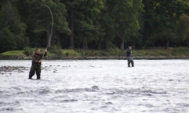 Passeio ecológico em Inverness