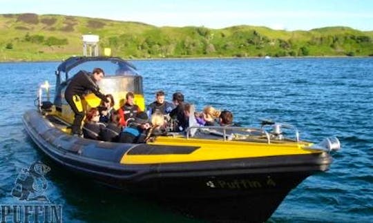 Rib Boat Diving Trips in Scotland
