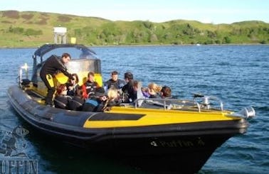 Rib Boat Diving Trips in Scotland