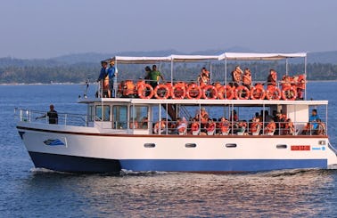 Whales & Dolphins Watching Tour in Weligama
