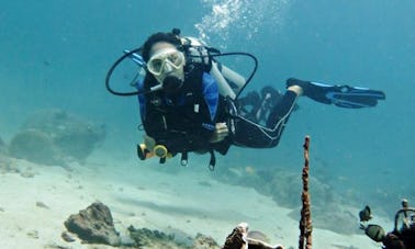 Lección de buceo y viaje de esnórquel en la isla Tioman