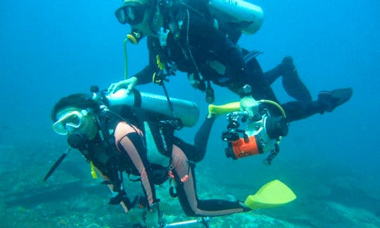 Diving Courses Coach by a Multilingual PADI Instructor in Trincomalee, Sri Lanka