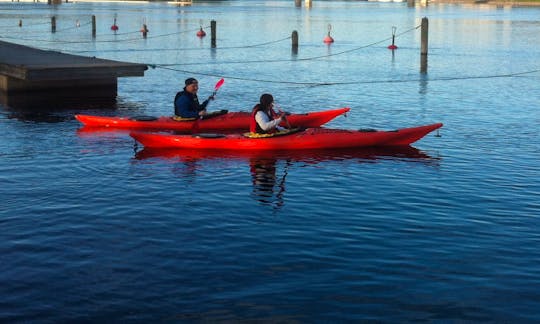 Single Kayak Rental in Joensuu, Finland
