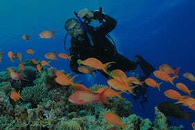 Diving Courses Coach by a Multilingual PADI Instructor in Trincomalee, Sri Lanka