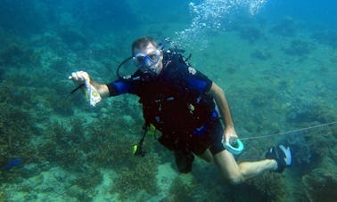 Viajes y cursos de buceo en Johor Bahru