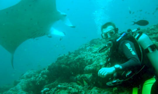 Diving Courses in Denpasar Selatan