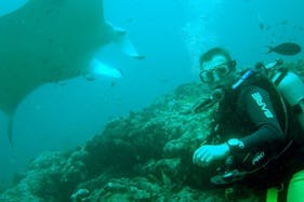 Diving Courses in Denpasar Selatan