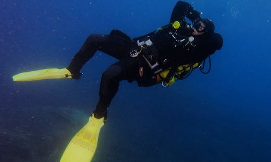 Buceo en Piombino