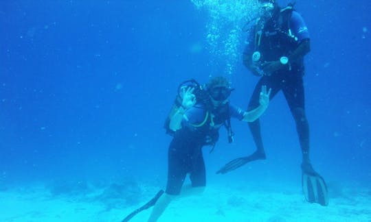 Diving Courses and Tours in Kendwa