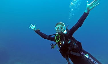 Cursos y excursiones de buceo en Kendwa