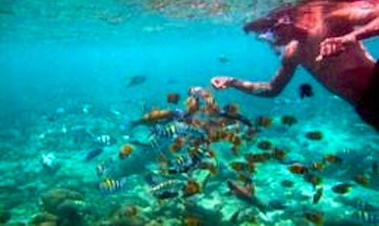 Snorkeling Trips in Lombok