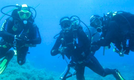 Diving Trips in San Vito Lo Capo