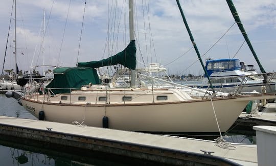 Island Packet Sloop Charter in Oxnard