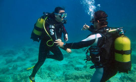 Diving Tours and Courses in Antalya