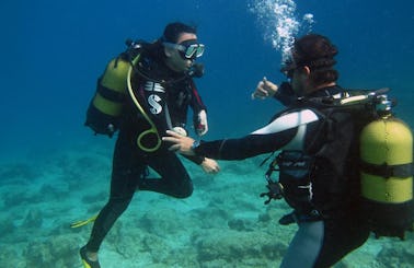 Diving Tours and Courses in Antalya