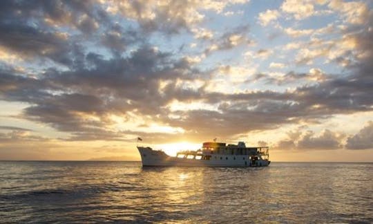 125' Steel Hull Dive liveaboard, Honiara, Solomon Islands