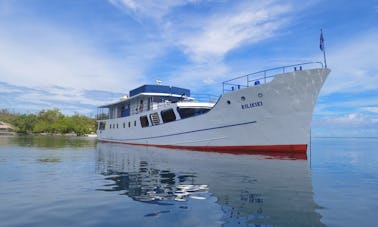 Bateau de croisière Steel Hull Dive de 125 pieds, Honiara, Îles Salomon