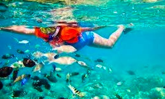 Snorkeling Trips in Lombok