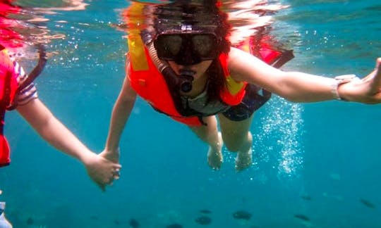 Scuba Lesson and Snorkelling Trip in Tioman Island