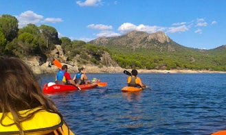 Kayak Rental and Courses in San Martín de Valdeiglesias