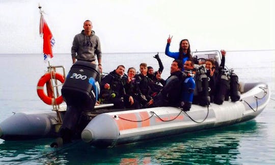 Diving Trips and Courses in Bergeggi