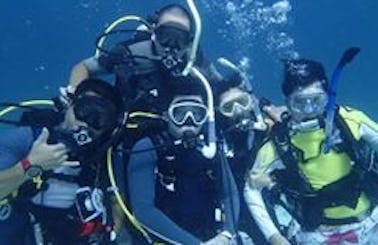 Discover Scuba Diving in Shanghai