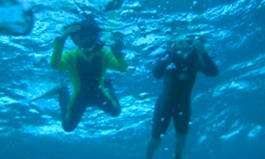 Diving Trips in Nishiizu-chō