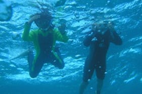 Diving Trips in Nishiizu-chō