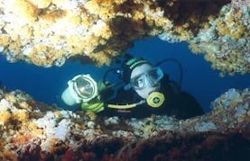 Cave Diving Trips in NorthWest of Sardinia, Italy