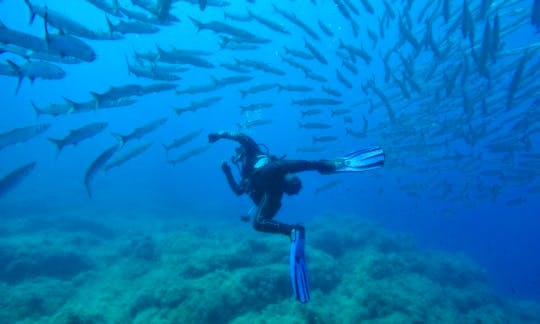 Diving Courses in Pietra